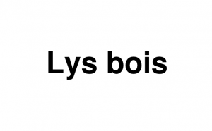 Lys Bois